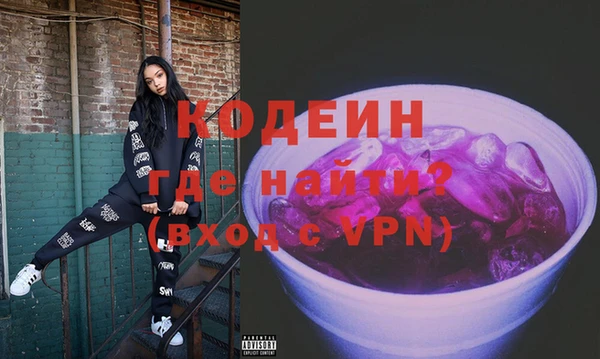 индика Краснослободск