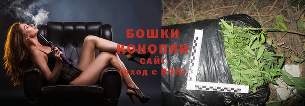 бошки Дмитриев