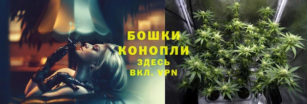 хмурый Карпинск