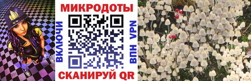 Галлюциногенные грибы ЛСД  дарк нет формула  Сухой Лог 